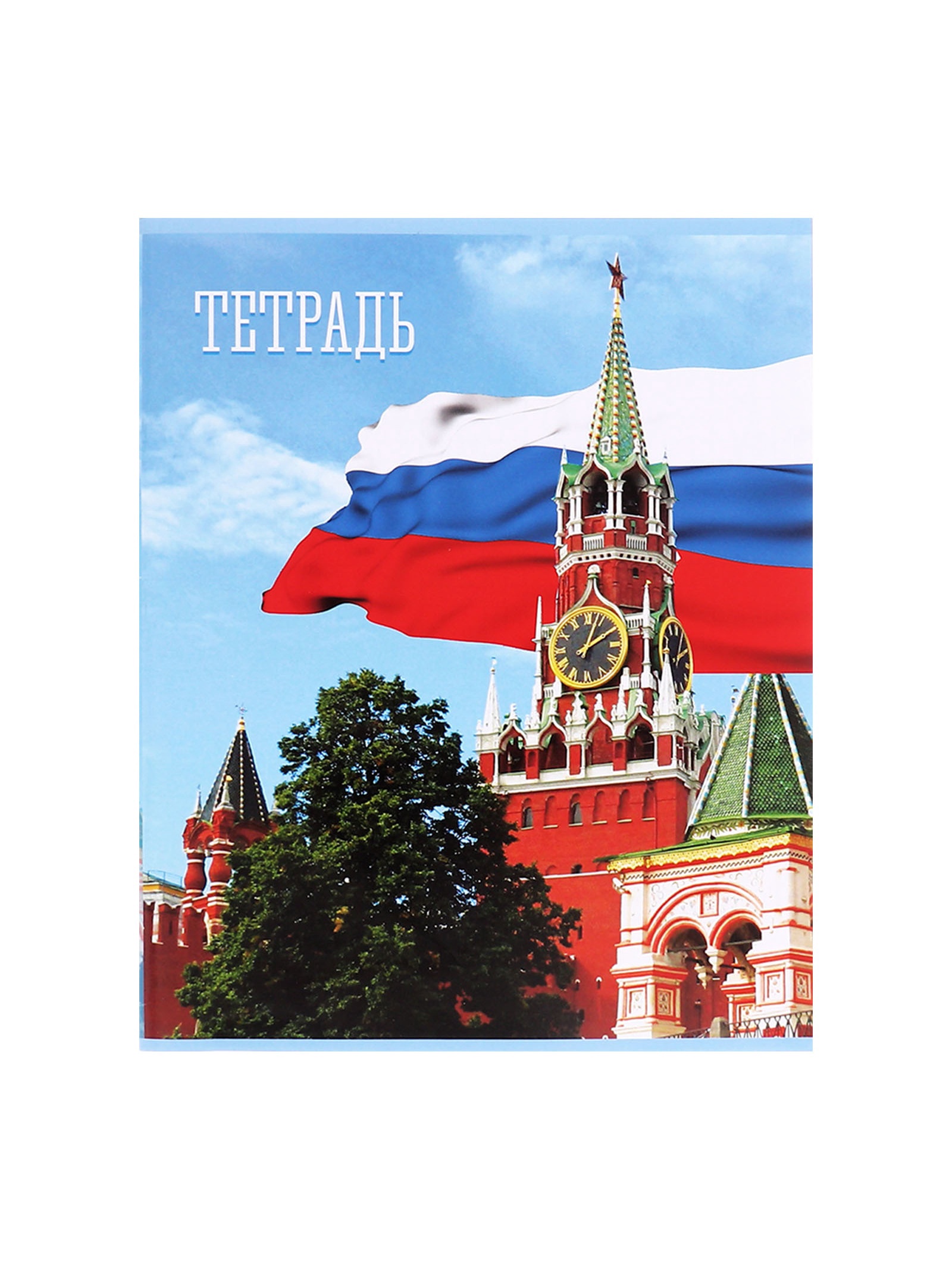 Тетрадь Calligrata клетка - фото 6