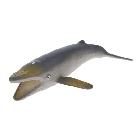 Игровой набор 1TOY Морские животные