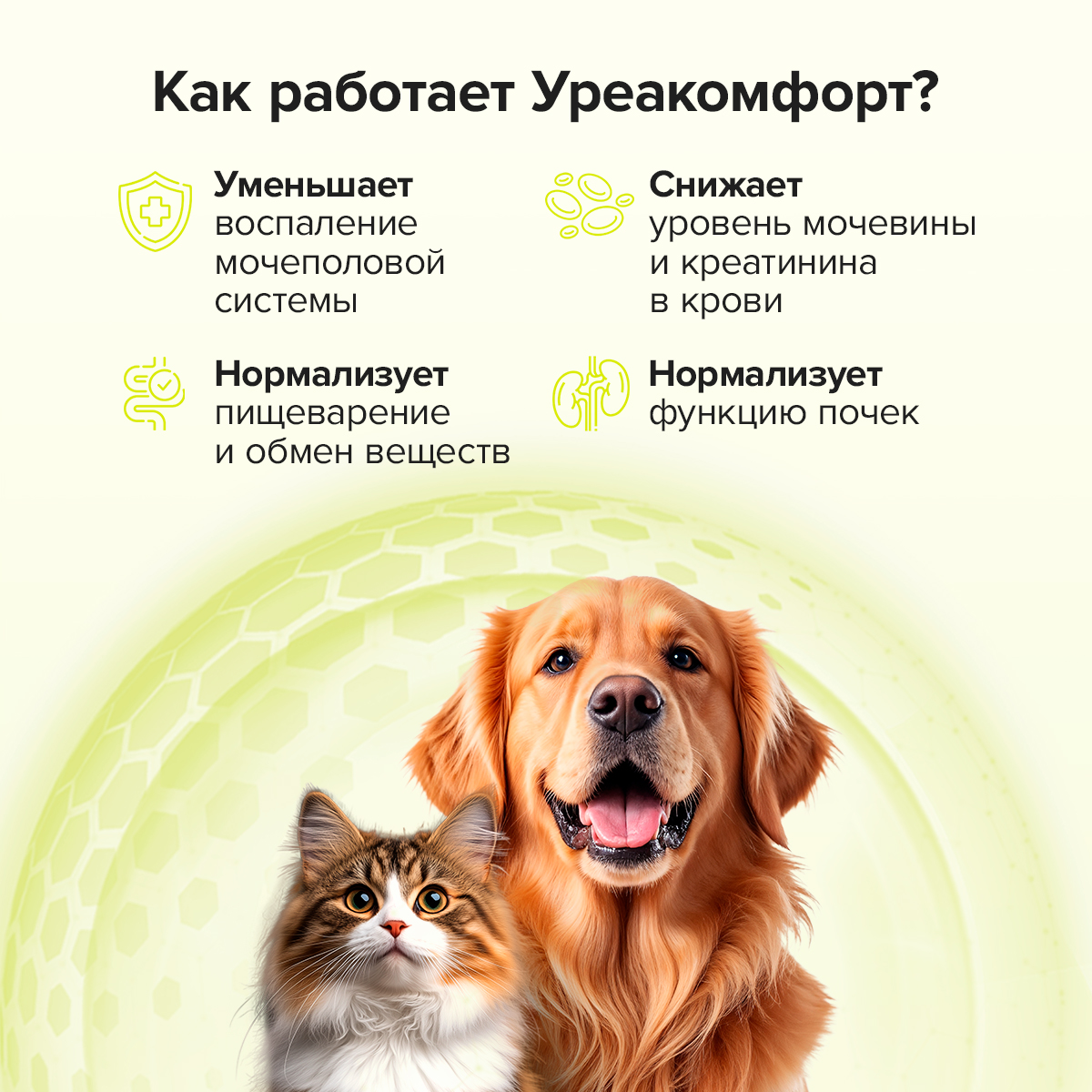 Кормовая добавка Pets health Поддержка мочеполовой системы и почек профилактика цистита снижение мочевины - фото 2