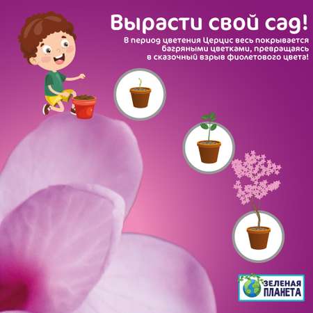 Набор для выращивания ЗЕЛЕНАЯ ПЛАНЕТА