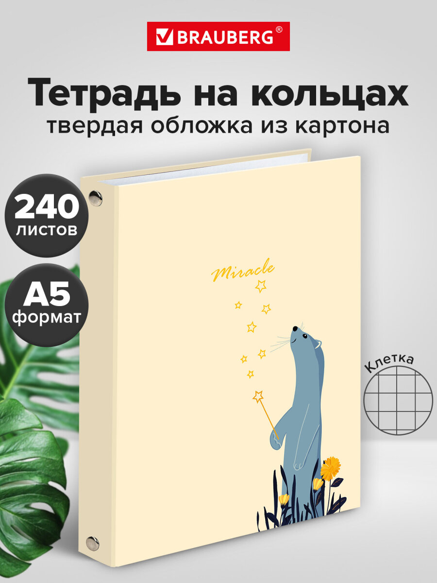Тетрадь со сменным блоком Brauberg клетка 240 лист. - фото 1