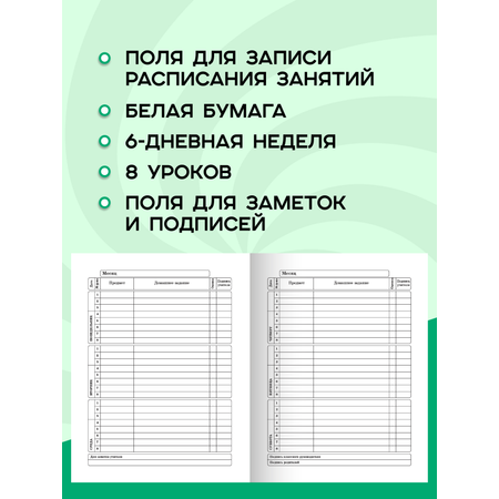 Дневник школьный Prof-Press 40 листов