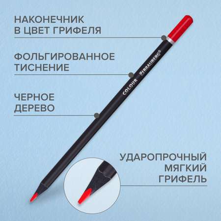 Карандаши цветные Brauberg 24 шт.