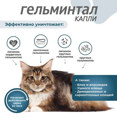 Капли для кошек Гельминтал 4-10кг Spot-on от внутренних паразитов 1мл