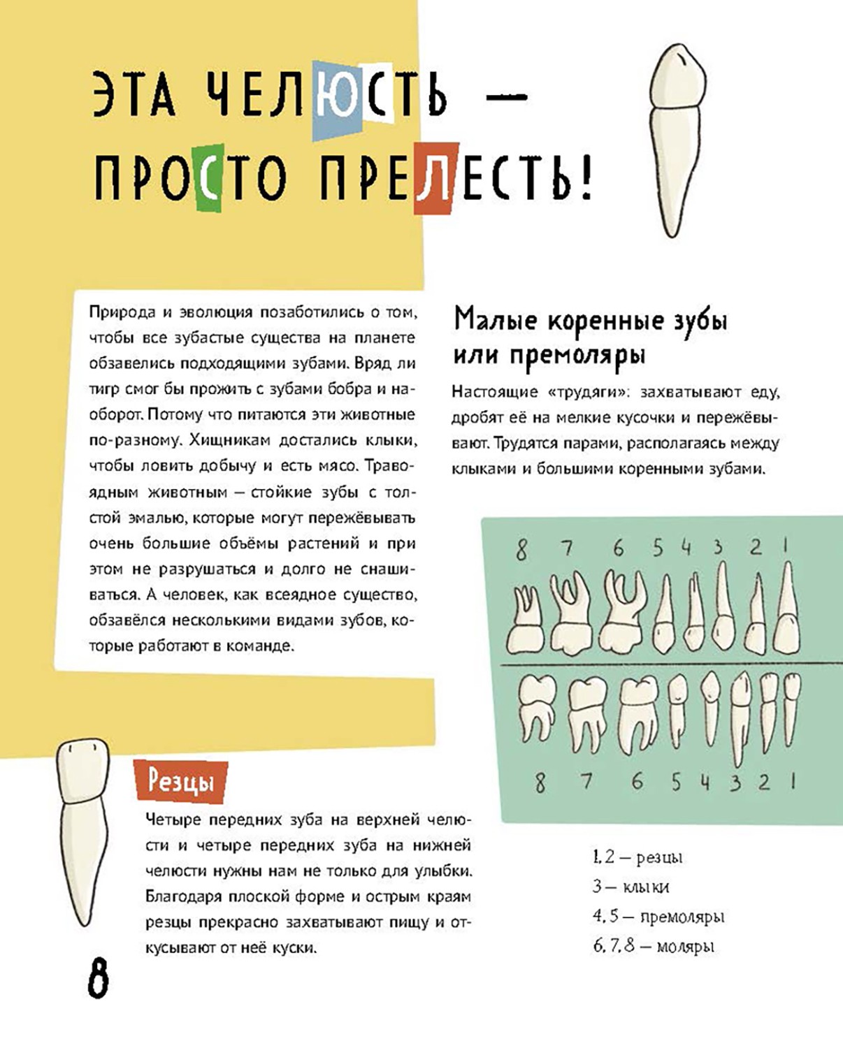 Книга Абраказябра Тело в котором ты живешь Комплект из 2-х книг - фото 8