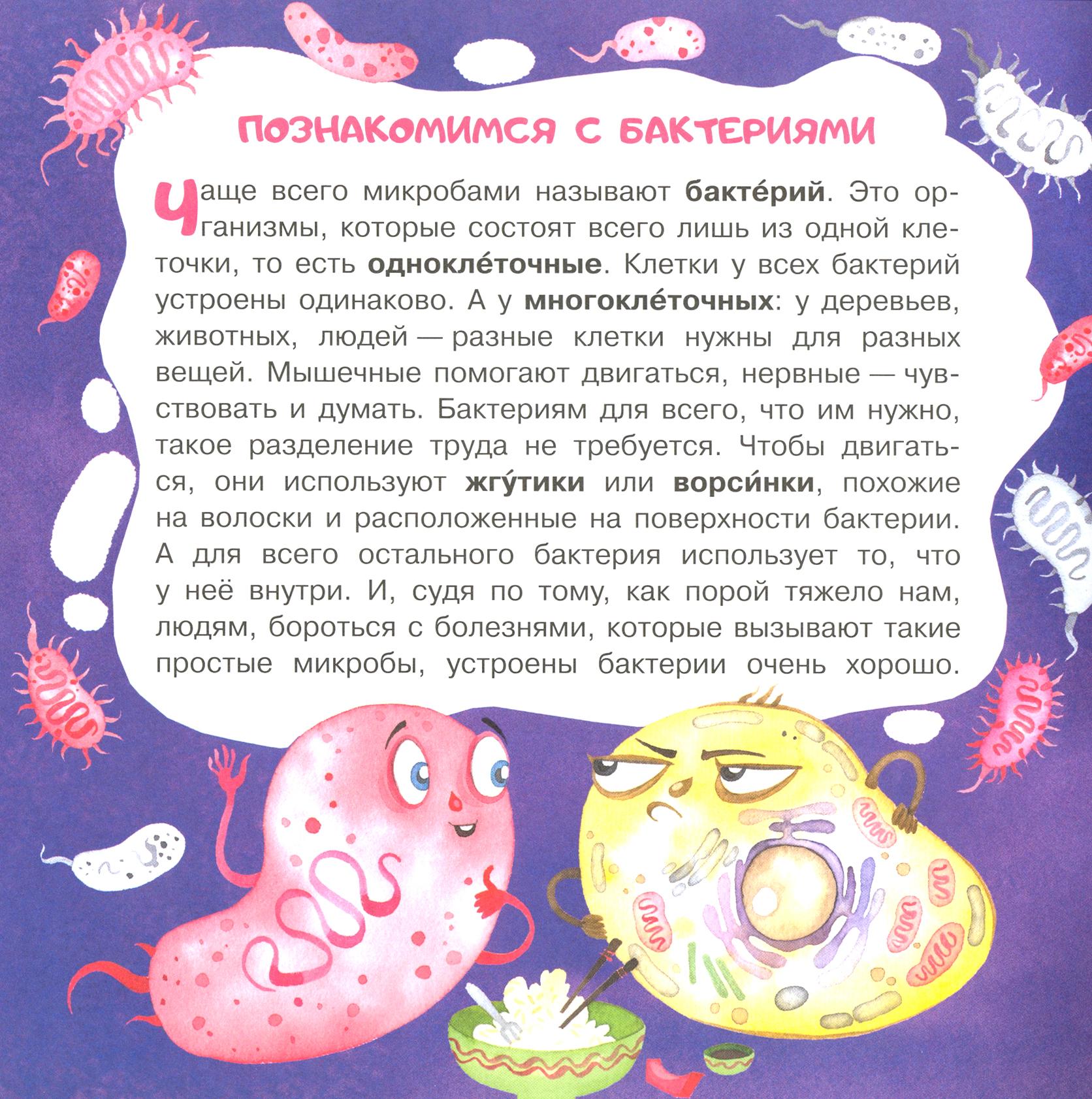 Книга Качели Микробы соседи-невидимки - фото 6
