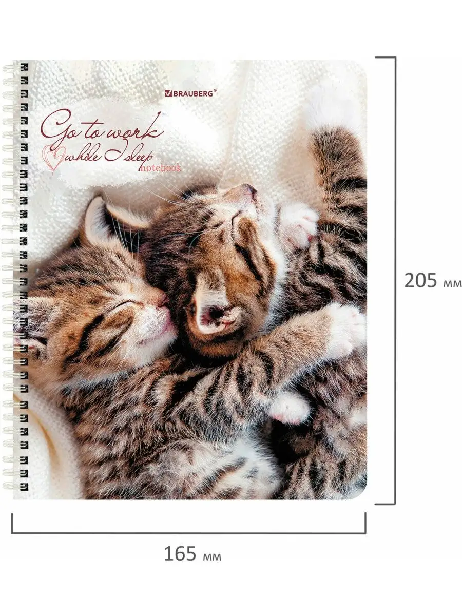 Тетрадь Brauberg клетка 96 лист. 4 шт. - фото 9