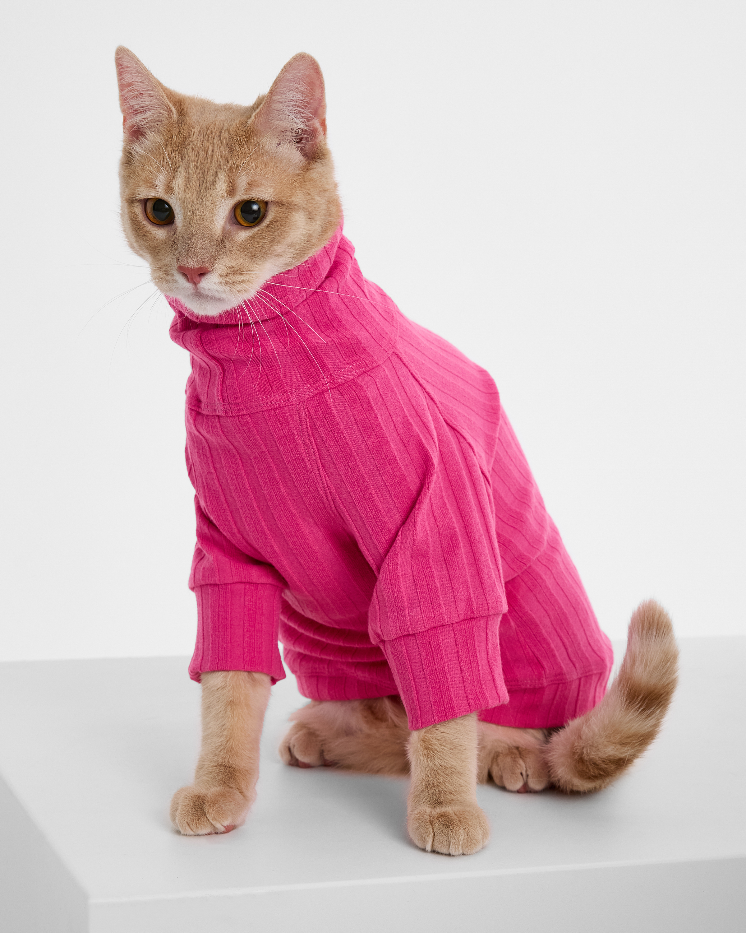 Водолазка для собак и кошек Зоозавр - фото 10