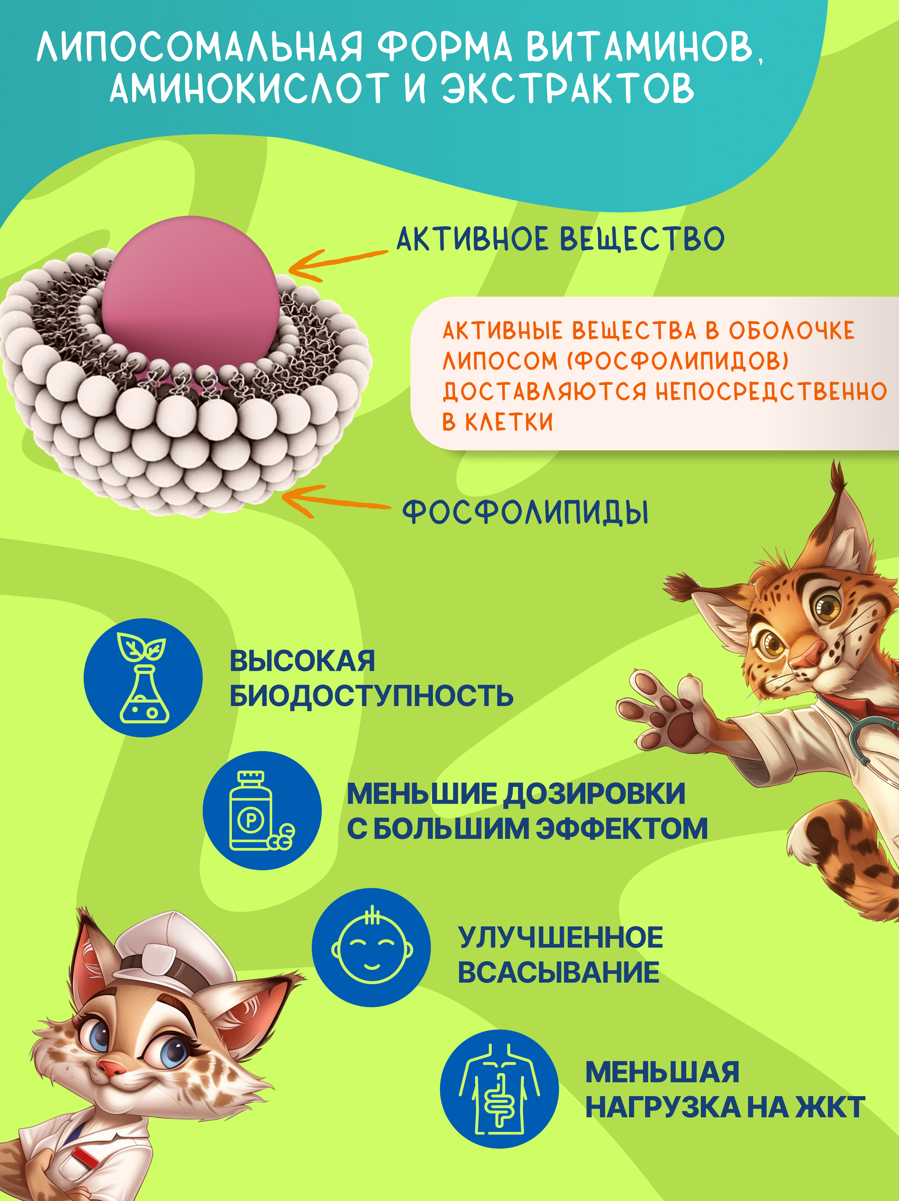 Концентрат Алтайские традиции для мозговой активности - фото 7