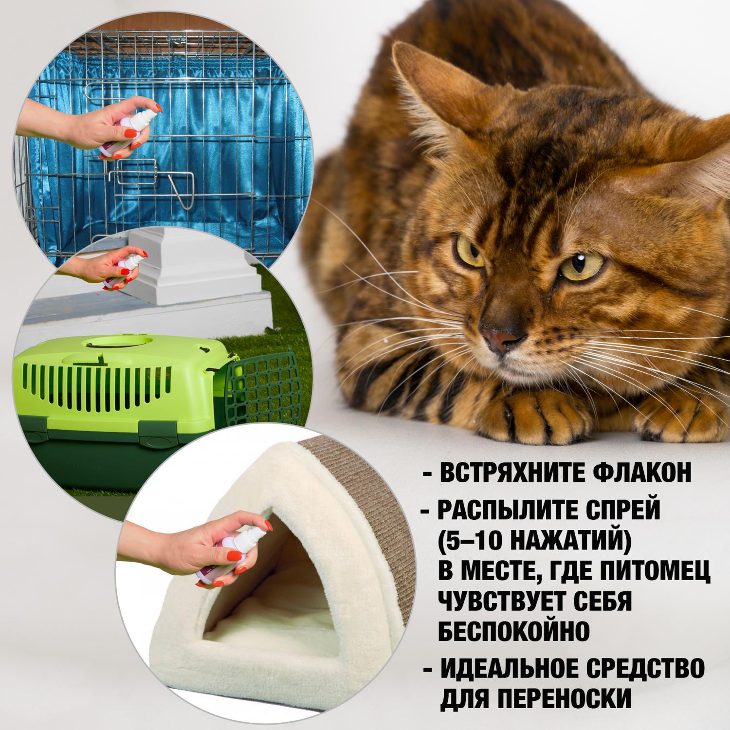 Спрей для кошек и собак Relaxivet успокоительный 50мл - фото 4