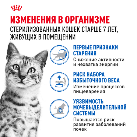 Корм для кошек ROYAL CANIN Indoor 85г для пожилых стерилизованных кошек 7+ соус пауч
