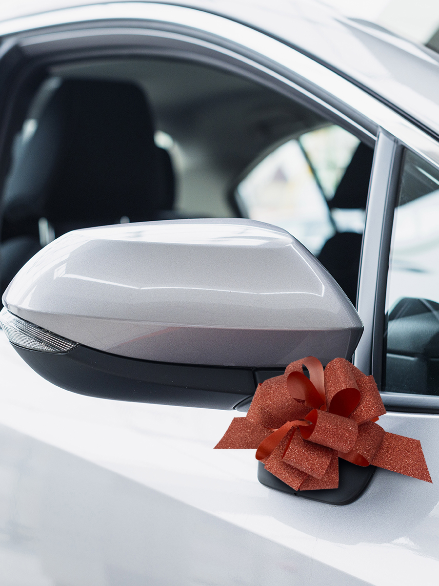 Набор бантиков AXLER для подарков 5 шт на липучке - фото 8