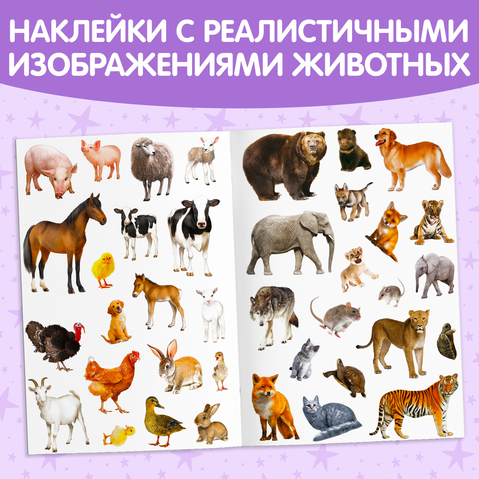 Книга Буква-ленд Познавательные наклейки Мамочки и детки - фото 4