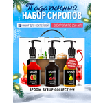 Набор сиропов SPOOM Арбуз Вишня Груша для коктейлей и лимонадов 3шт 250мл + 3 дозатора