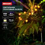 Лампа REXANT Лалели