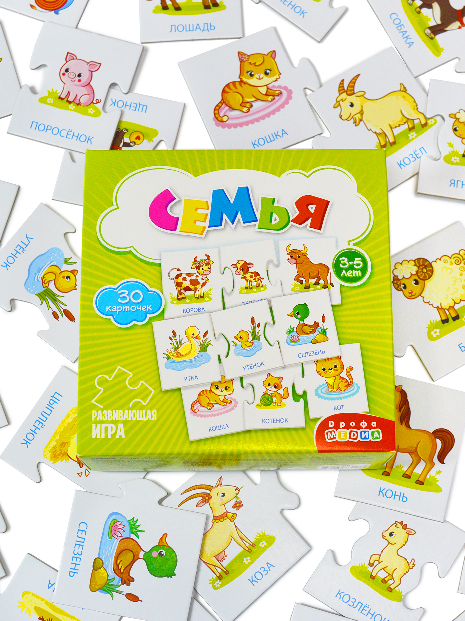 Игра развивающая Дрофа-Медиа Семья 4209 - фото 8