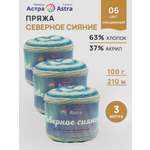 Пряжа Astra Premium 100гр 210м 3шт