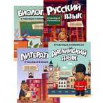 Комплект из 4 книг КОЛИБРИ Уроки без мучения в таблицах и комиксах