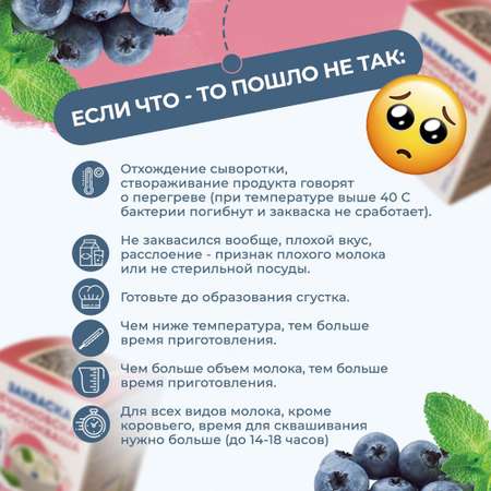 Закваска для мечниковской простокваши Полезная Партия 3 порции