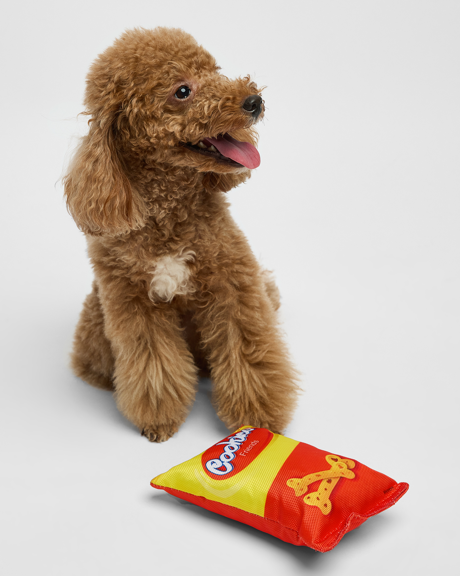 Игрушка для собак Barbaks Пакет снеков особо прочный шуршит 20*14 см - фото 5