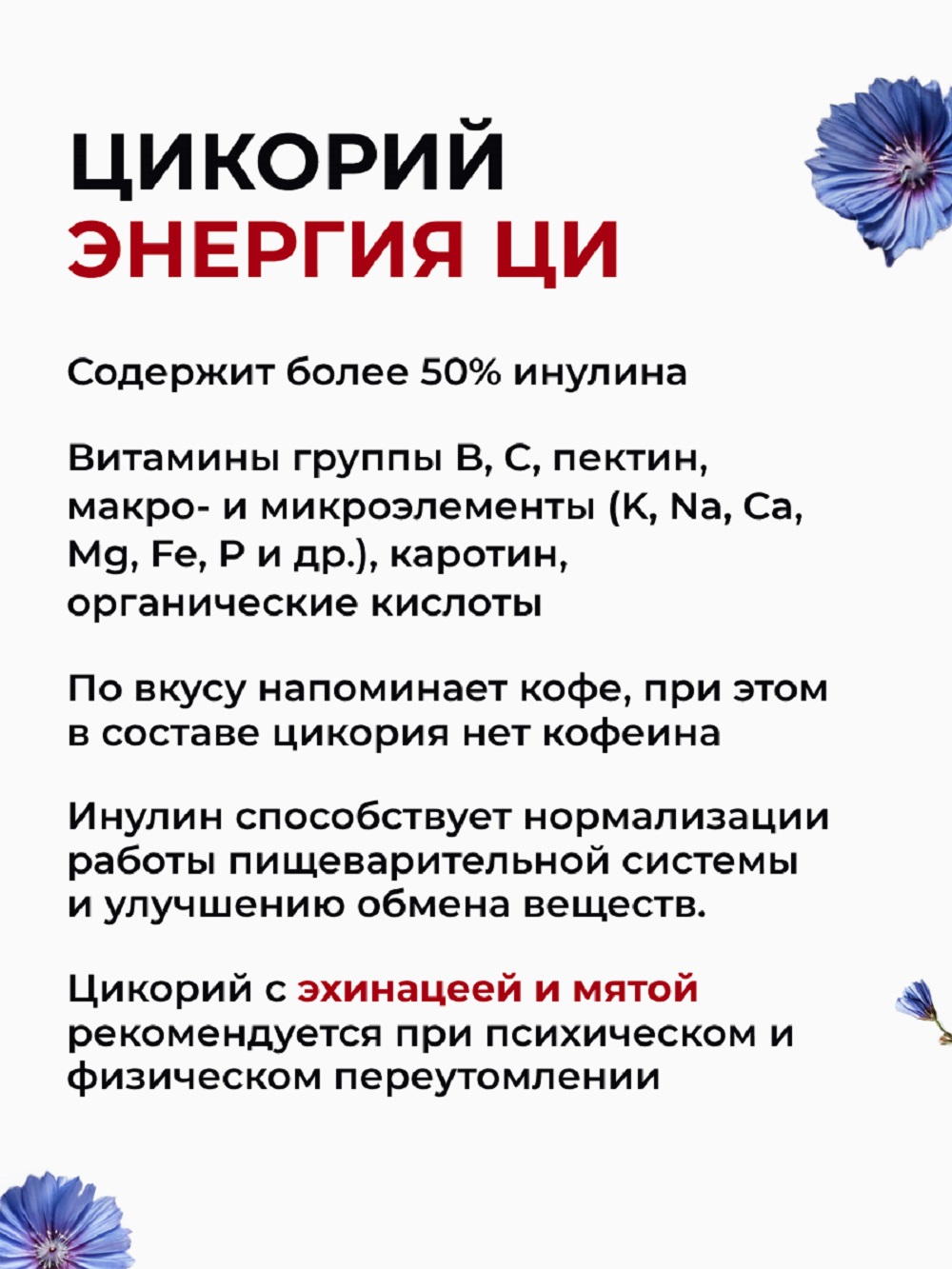 Цикорий Энергия Ци экстракт растворимый жидкий с эхинацеей и мятой - фото 3