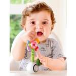 Игрушка Hape погремушка Погремушка светящийся цветок