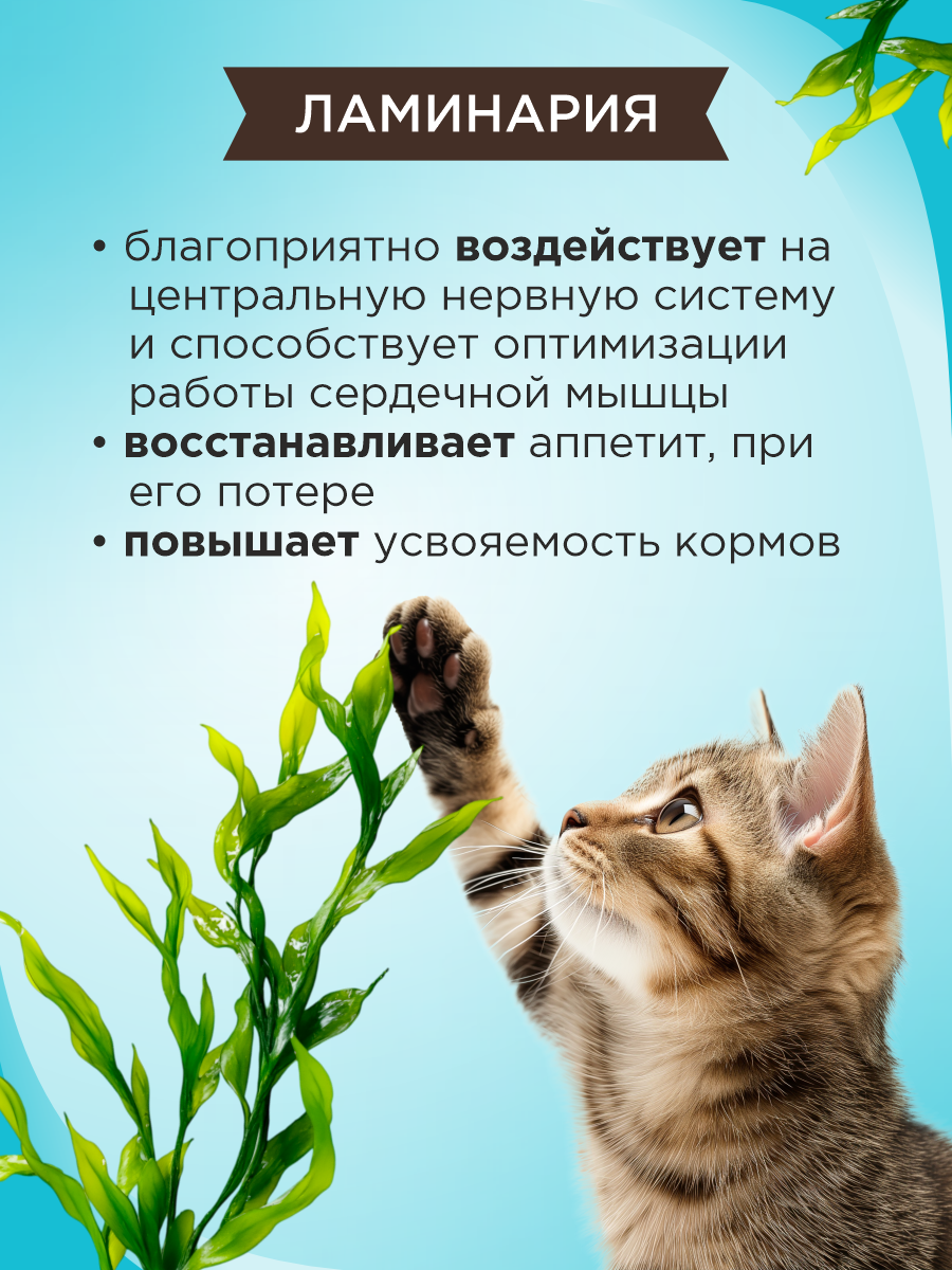 Полезное лакомство для кошек GOODR CAT Крепкий иммунитет с ламинарией 90 таб. - фото 4