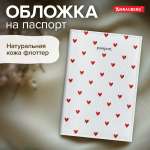 Обложка на документы Brauberg