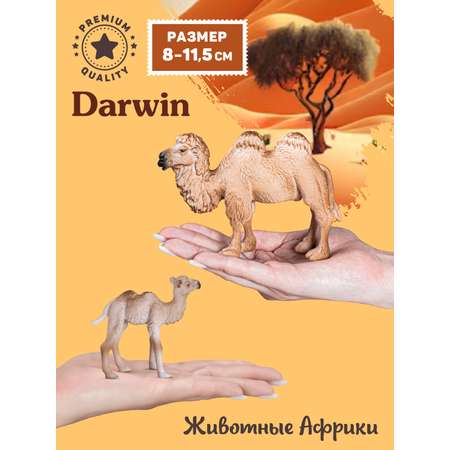 Фигурка DARWIN Двугорбый верблюд с малышом