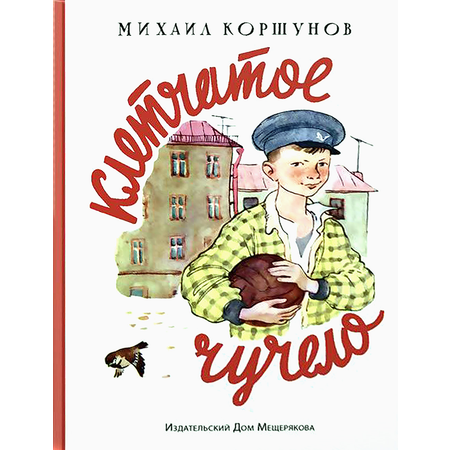 Книга Лабиринт Клетчатое чучело