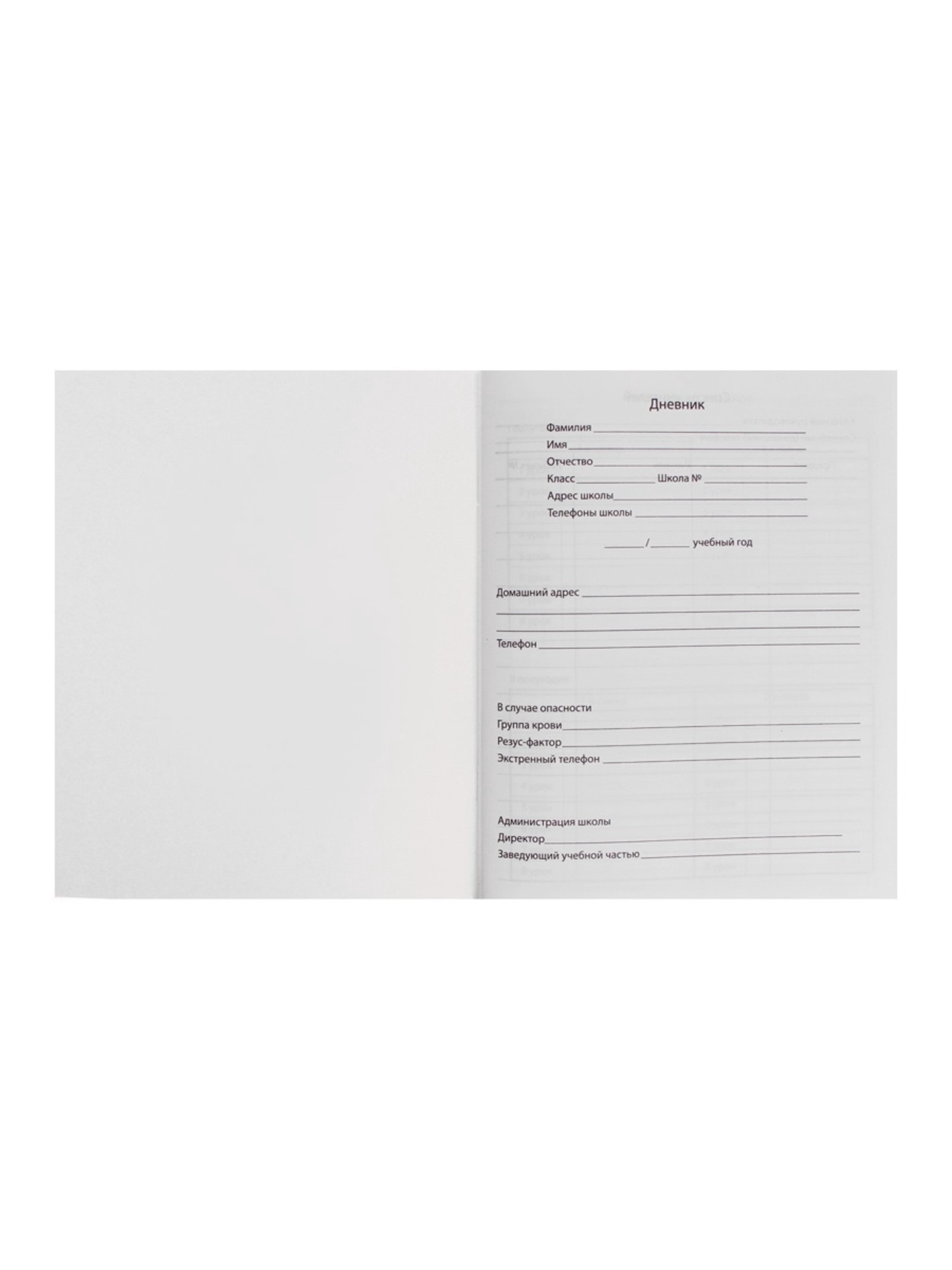 Дневник Calligrata обл 1-11кл, 40л, Calligrata "Собачка. Арт" - фото 5