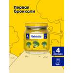 Пюре Bebivita Брокколи с 4 мес 100 г