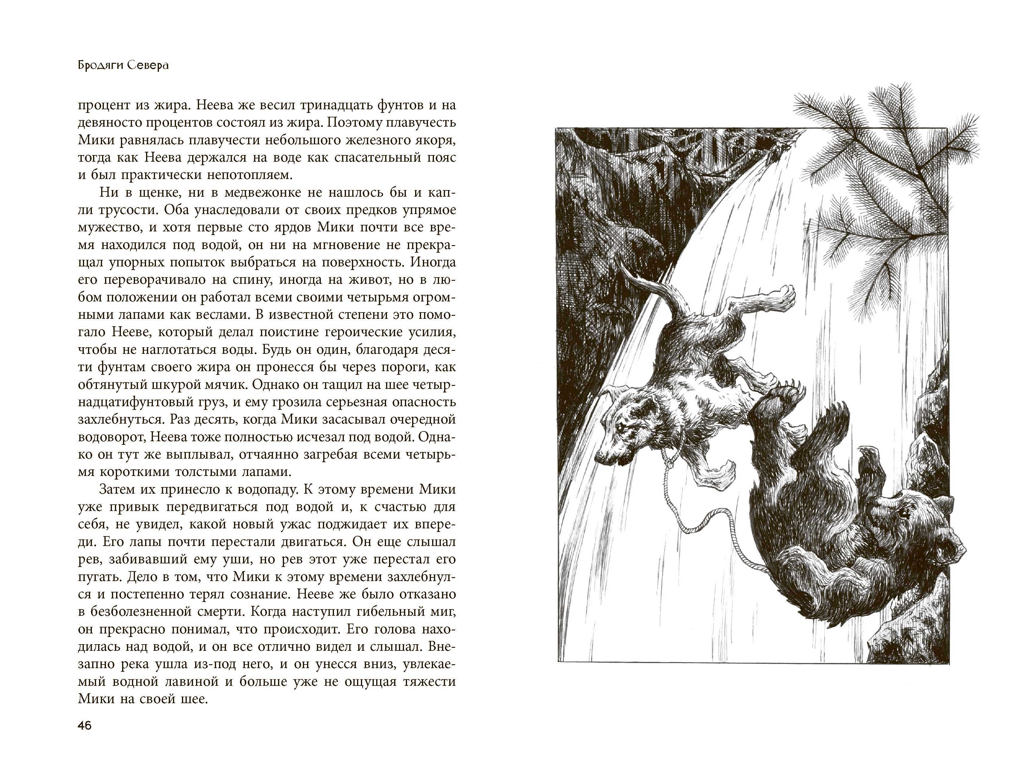 Книга Качели Бродяги Севера - фото 5
