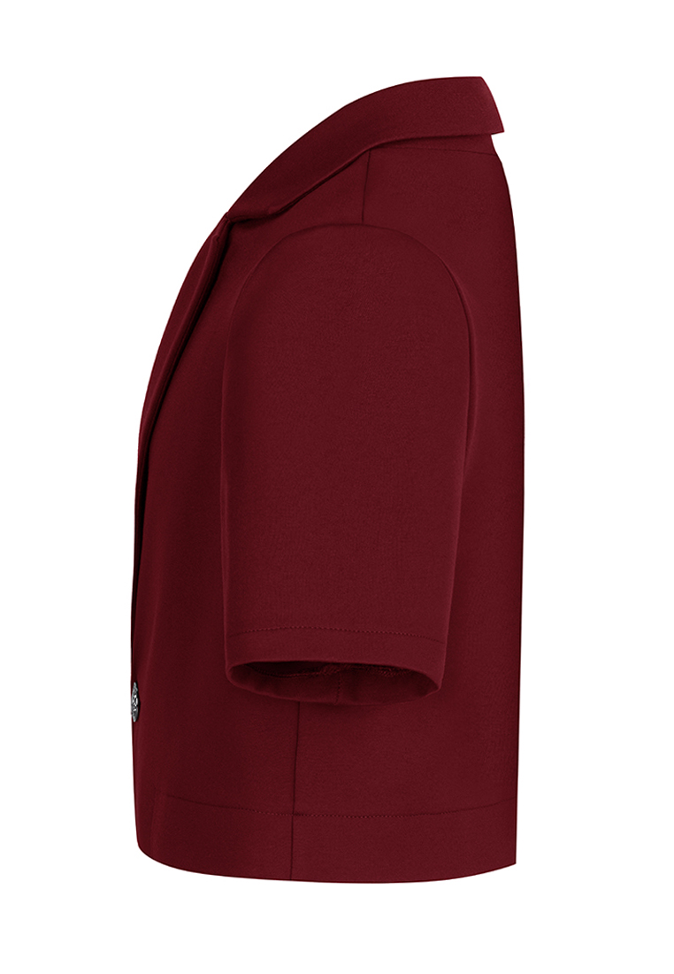 Жакет Stylish AMADEO AJ-1085-бордовый - фото 3