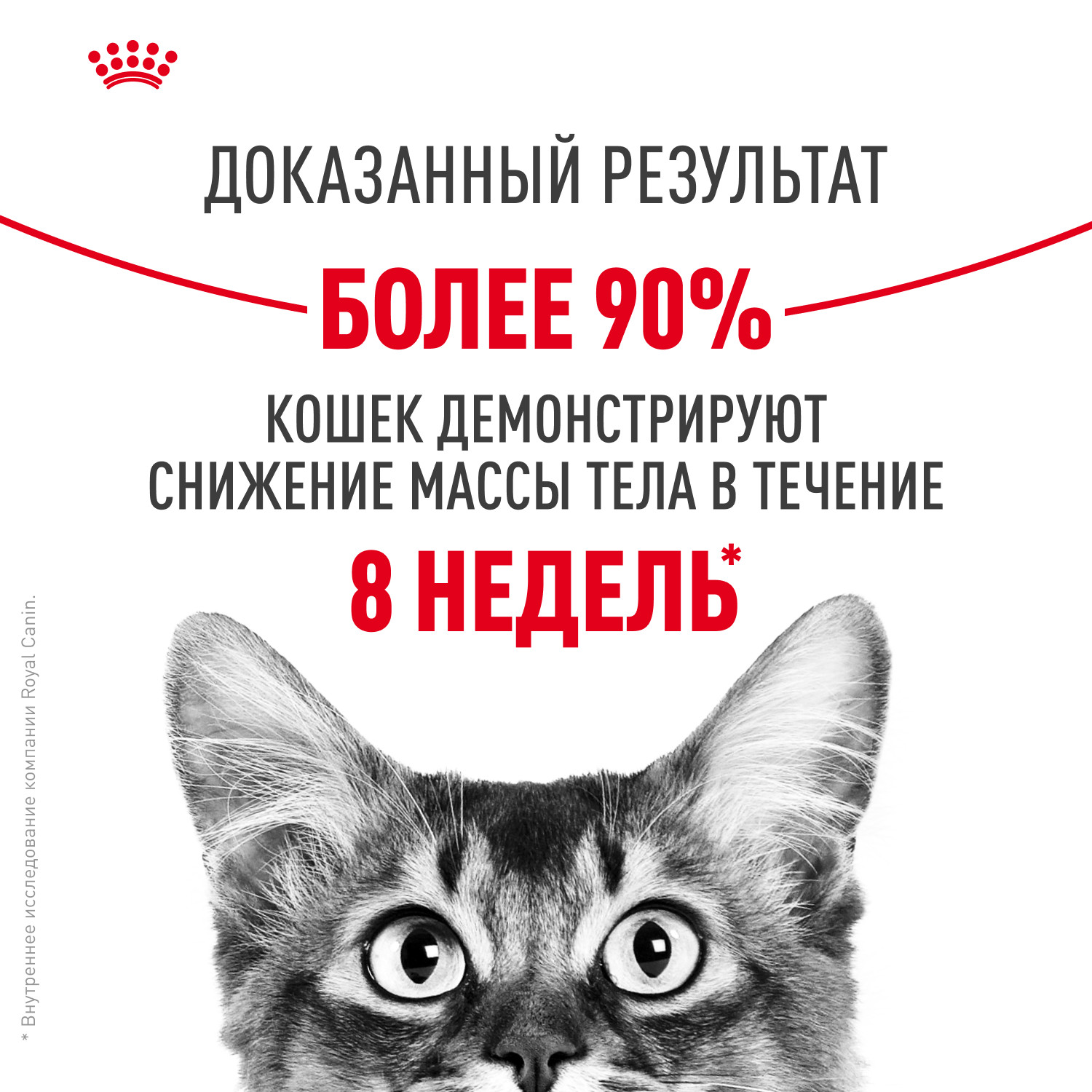 Корм для кошек ROYAL CANIN Light Weight Care для взрослых кошек в целях профилактики избыточного веса 3кг - фото 5