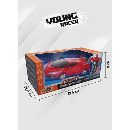 Автомобиль РУ YOUNG RACER