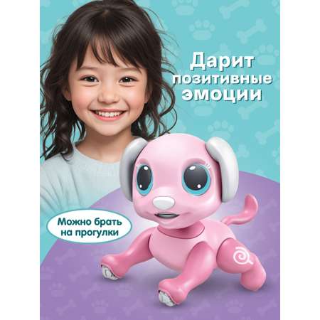 Собака РУ Mioshi животные