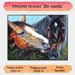 Алмазная мозаика Seichi