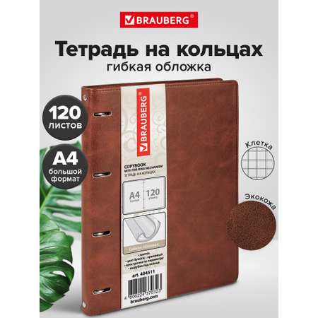 Тетрадь со сменным блоком Brauberg клетка 120 лист.