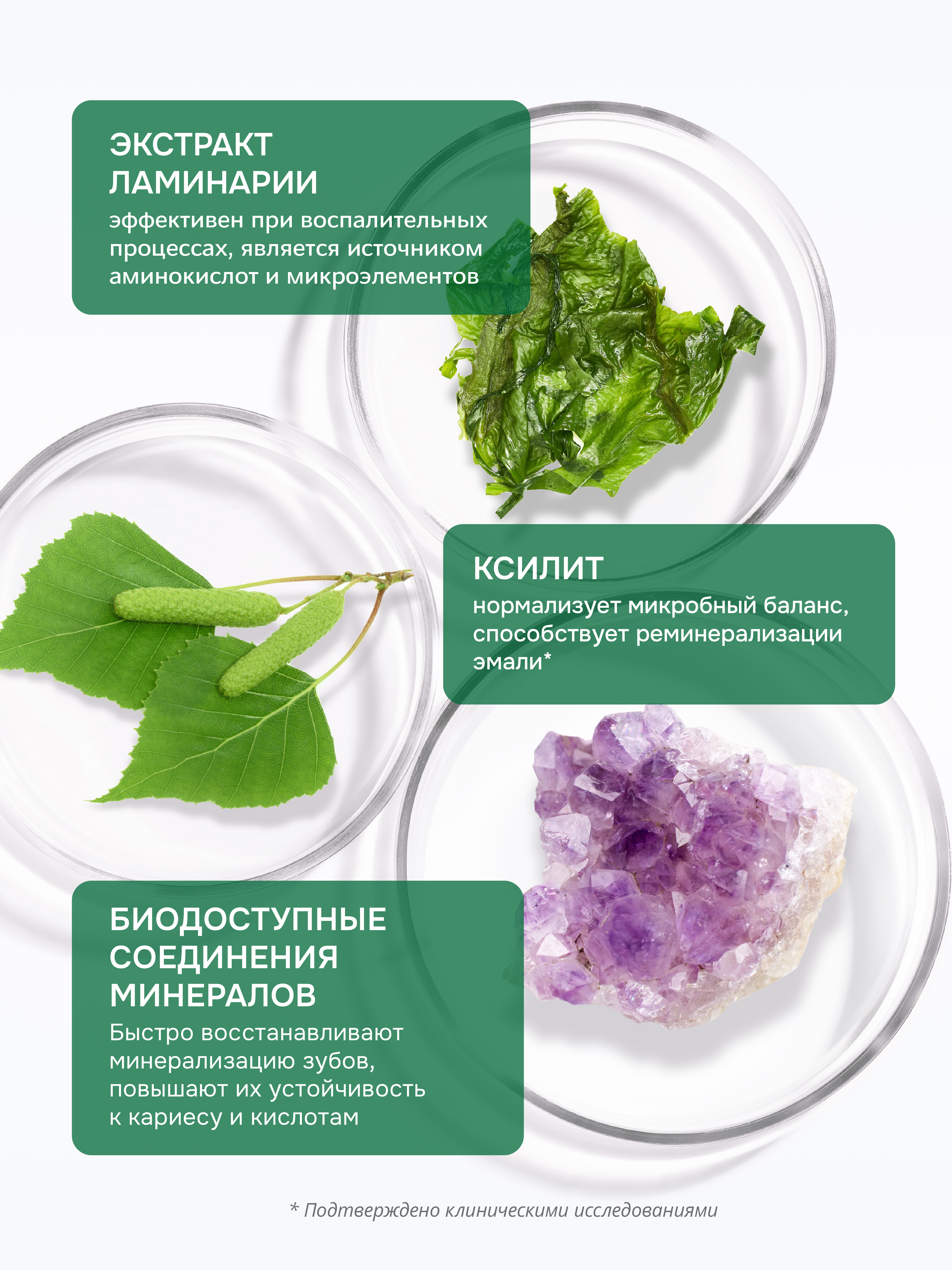 Ополаскиватель R.O.C.S. Двойная мята 400 мл - фото 2