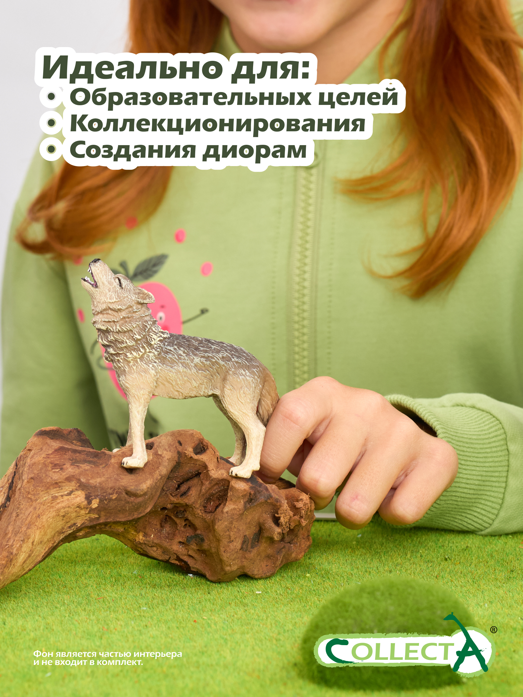 Фигурка Collecta Обыкновенный волк воющий - фото 6