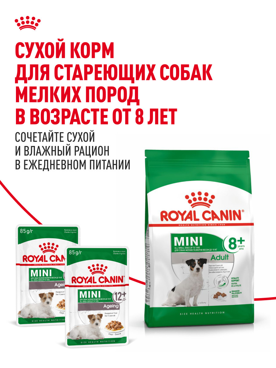 Корм для собак ROYAL CANIN Mini Ageing 12+ для стареющих собак мелких размеров 85г - фото 8