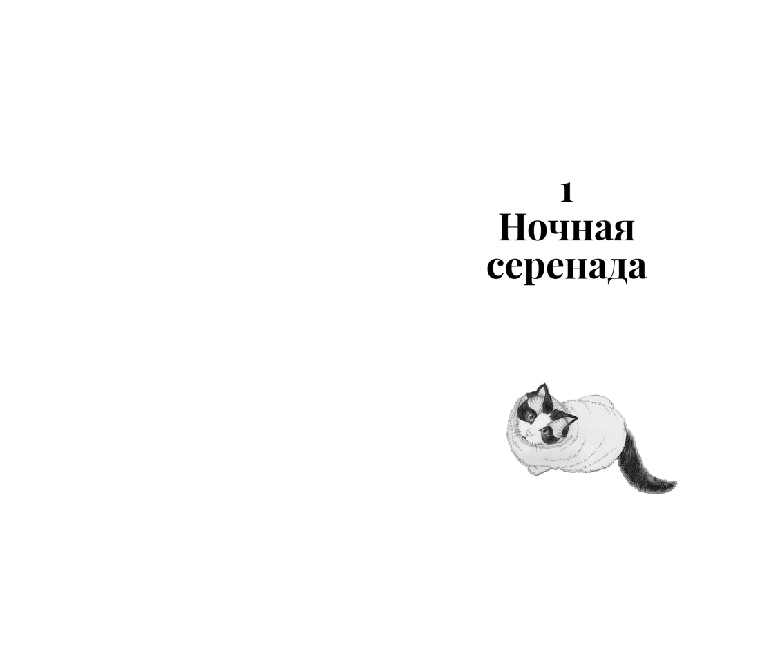 Книга АЗБУКА Анна Шойом. Нэко-кафе. Правила жизни кошек - фото 12