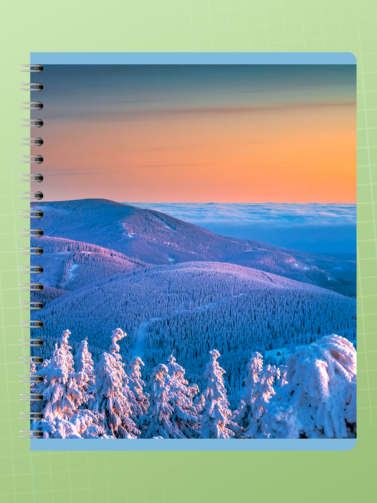 Тетрадь AXLER клетка 96 лист. 4 шт. - фото 5