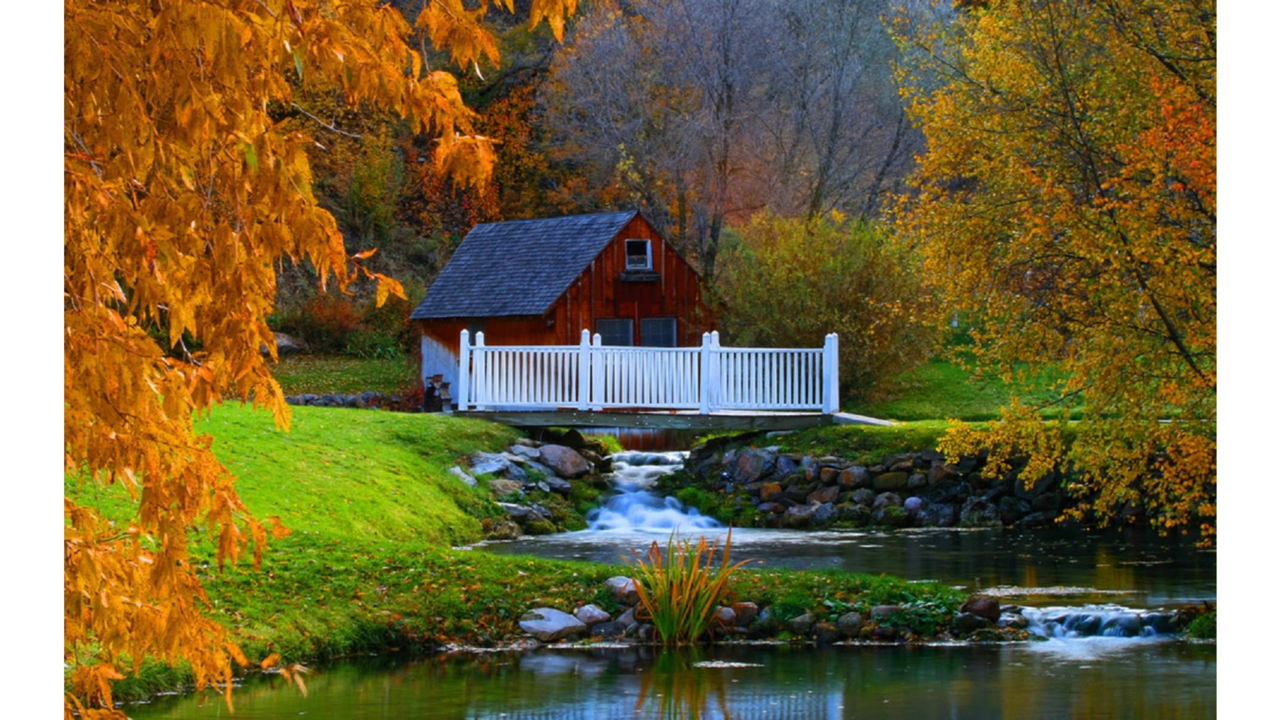 Алмазная мозаика Рыжий кот Осенний пейзаж - фото 1