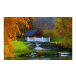 Алмазная мозаика Рыжий кот Осенний пейзаж