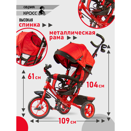 Трехколесный велосипед Velobibi 10 дюймов