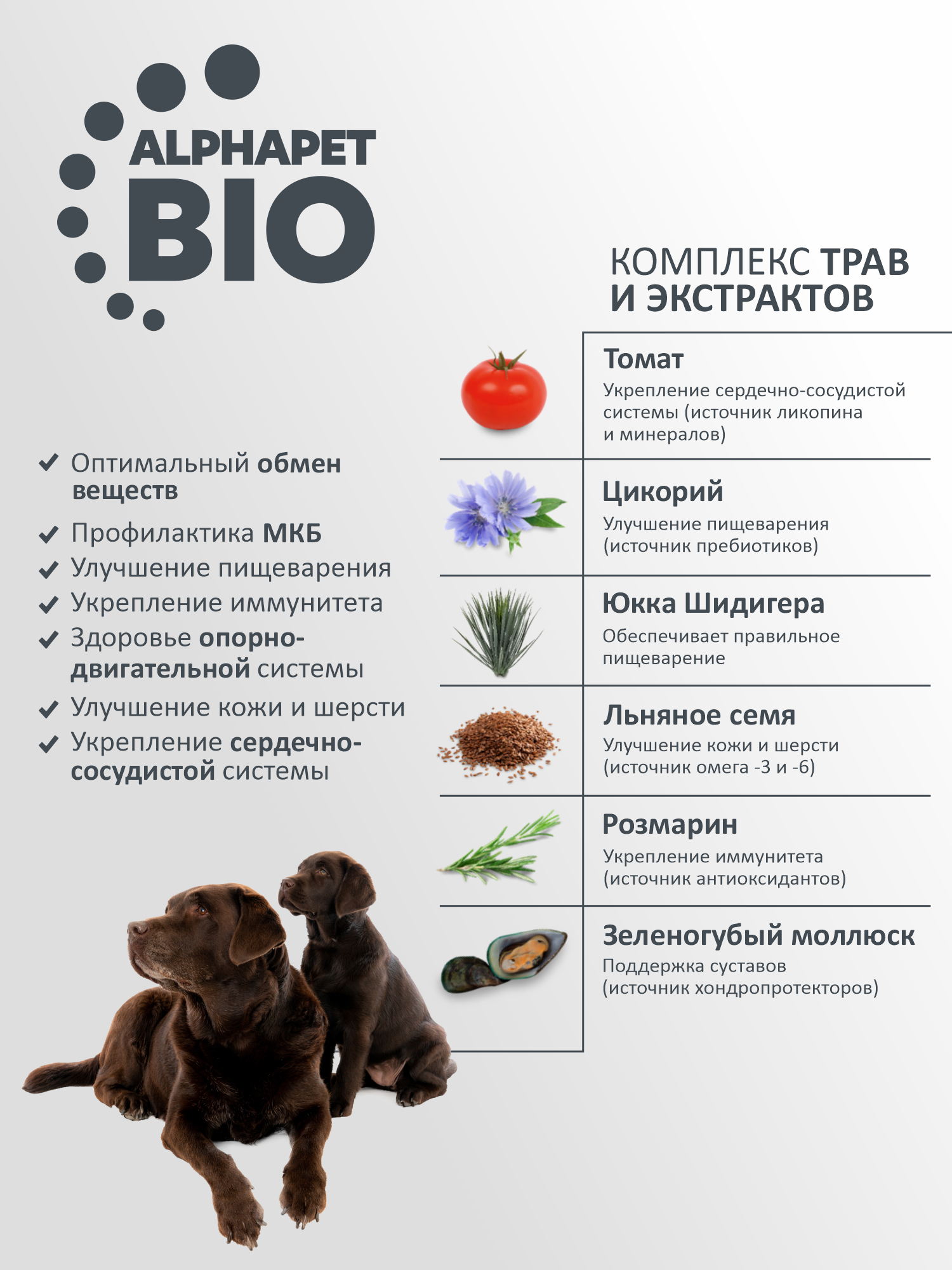 Сухой полнорационный корм холистик AlphaPet с говядиной и рубцом для щенков до 6 месяцев и собак крупных пород 12 кг - фото 6