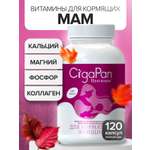 Цыгапан витамины и минералы для кормящих женщин, 400 мг, 120 капсул