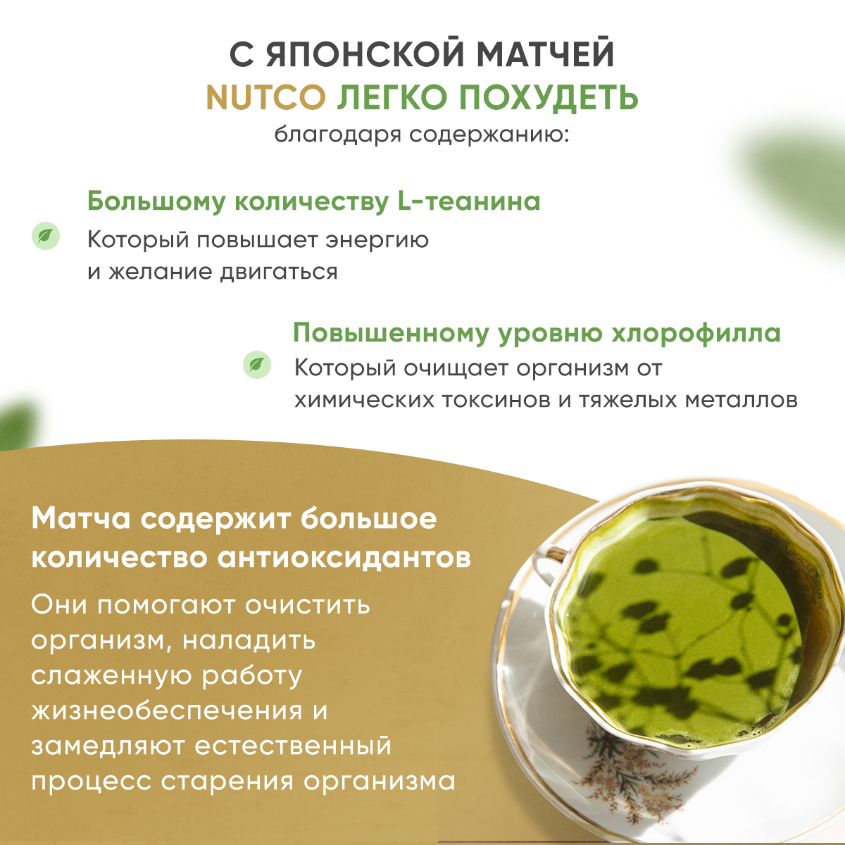 Чай Матча Nutco зеленая натуральная церемониальная 50 г - фото 2